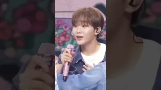 [세븐틴/승관/우지] 부승관 뒤에는 항상 이우지가 있다