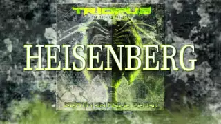 Triopus - Heisenberg Song (Lyric Video)