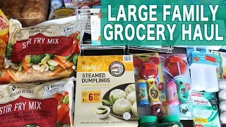 Large Family Grocery Haul: Costco, Trader Joe's, Sam's Club, Meijer, Staples, and Lowe's Hauls