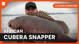 African Cubera Snapper Hunt - Chasing Monsters - Fishing Show