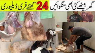 Karachi ki sab se bari mutton wholesale meat Market karachi