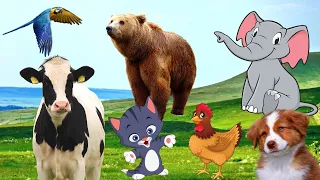 Distinguishing animals: cow, dog, bear, elephant, cat