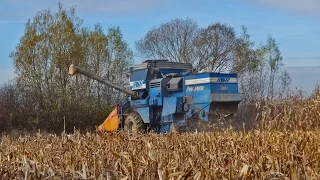 Kukorica betakarítás fortschritt e514 ,Massey Fergusson5455,Mtz 892.2[2016]