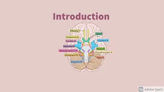 Cranial Nerves and Disorders (Part 1): Introduction