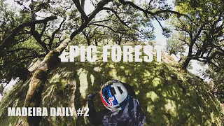 How EPIC! The magical forest rides | MADEIRA DAILY #2