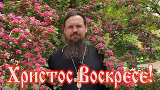 Христос Воскресе! Пасха! Поздравление с Пасхой!