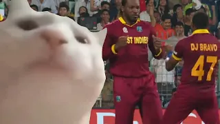 Cricketer vibing with cat || Cat vibing video || MSMTV