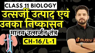 मानव उत्सर्जन तंत्र ( Human Excretory System )| 11th Biology उत्सर्जी उत्पाद एवं उनका निष्काशन