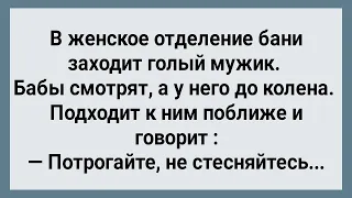 Мужик с Большим Хозяйством в Женской Бане! Сборник Свежих Анекдотов! Юмор!