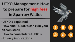 Bitcoin UTXO management: how to prepare for high fees in Sparrow Wallet