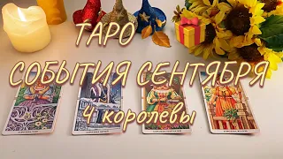 🔮 СЕНТЯБРЬ! 4 КОРОЛЕВЫ 👸🏼🍂🎁 События осени Таро онлайн расклад