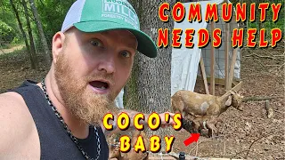 COCO HAD HER BABY!!! HELP THE COMMUNITY!!!