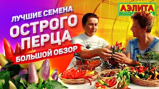 НАШИ ЛУЧШИЕ СЕМЕНА ОСТРОГО ПЕРЦА. Большой обзор сортов!