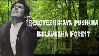 [ENG SUB] Belovezhskaya Pushcha- Dimash and Nagima Eskalieva