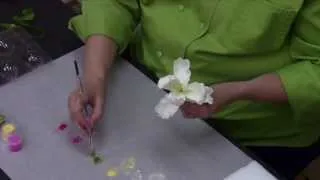 Sugar Paste Parrot Tulip Tutorial