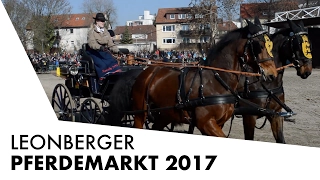 Leonberger Pferdemarkt 2017