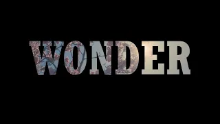 Multifandom | Wonder