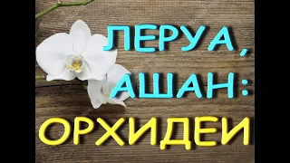 Леруа:АРКС РЕЙ,пелорики,ПОТРЯСАЮЩИЙ завоз ОРХИДЕЙ.Орхидеи в АШАНЕ,ТЦ "Космопорт",Самара,09.07.21.