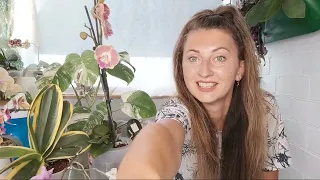 Ирина Давтян в прямом эфире Пересадка орхидеи 1,7 и все о таких малышках