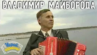 Играй, гармонь! | Владимир Майборода (Украина) | Вариации на матросский танец «Яблочко»