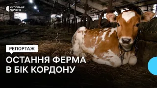 Як живе остання ферма на Чернігівщині в бік російського кордону