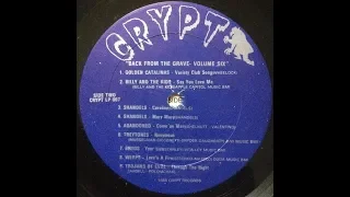 Back From The Grave VOL #6 LP (GARAGE 60'S)