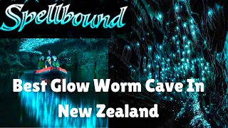 Journey into Darkness: Exploring the Spellbound Glow Worm & Spirit Cave New Zealand