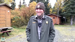 Live Chat: Bear Management in Brooks Camp