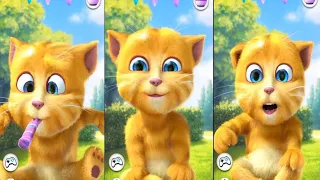 my taking ginger 🐈🐈‍⬛🐈🐈‍⬛🐈😻😸😾😼😺😿😹😽🙀 funny ginger #ginger #android #youtube