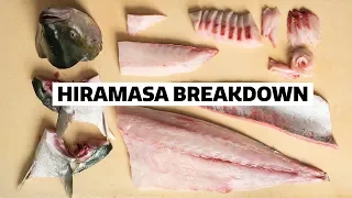 How to fillet a YELLOWTAIL for SUSHI