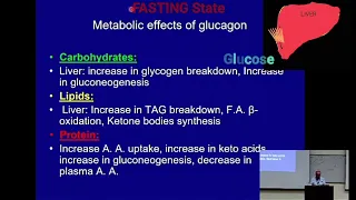 Hormonal Regulation of Metabolism in a Nutshell @Metabolism Made Easy