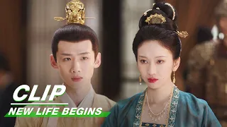 Yuan Ying Angers Her Father When She Wants a Divorce | New Life Begins EP31 | 卿卿日常 | iQIYI