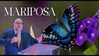 COMO UNA MARIPOSA