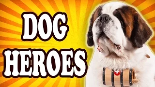 Top 10 Bravest Dogs Throughout History — TopTenzNet