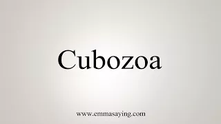 How To Say Cubozoa