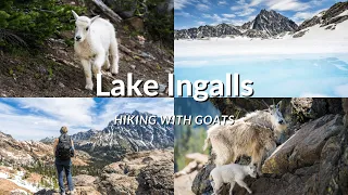 Day Hike to Lake Ingalls | July 2022