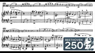 Cello Sonata No.3, Op.69 (L. van Beethoven) Score Animation