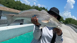 Lovers Key Holding Some Giant Reds