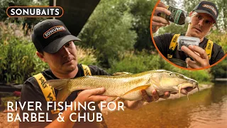 Summer Barbel & Chub Fishing! | Rory Jones