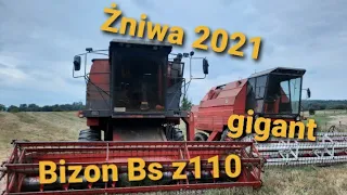 Żniwa 2021 Bizon Bs z110 oczami operatora  (Długi nudny film)