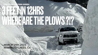 3 FEET in 12hrs… Where are the plows ?!?!?