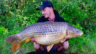 A night on a raging Rhône ~ Common record ~ Carp fishing ~ Subtitles