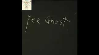 Pee Ghost - Full Album 2020 (Acid House / Synth Wave)