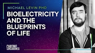 #49 Michael Levin PHD - BIOELECTRICTY AND THE BLUEPRINTS OF LIFE