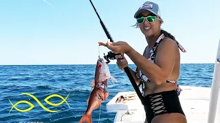 Battling sharks while Snapper Fishing in Panama City