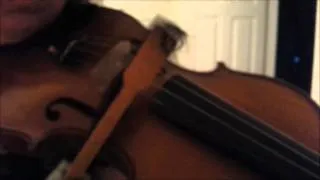 #131 Violin bow made out of human hair