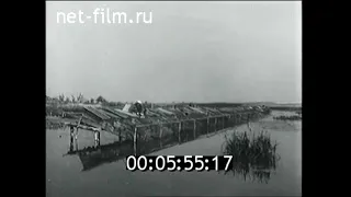1955г. Гжатск. ферма нутрий. Смоленская обл