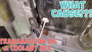 transmission oil & coolant  mixing & causing.L405  by autonsTV
