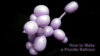 How to Make a Poodle Dog Balloon Animal