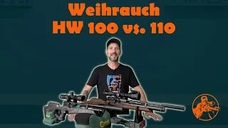 Weihrauch HW 100 vs  HW 110 - Similarities and differences